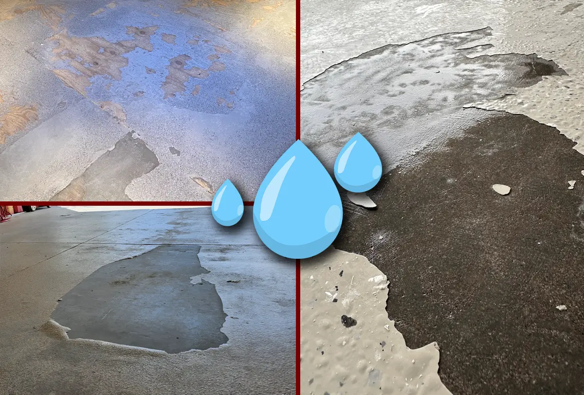Moisture Issues